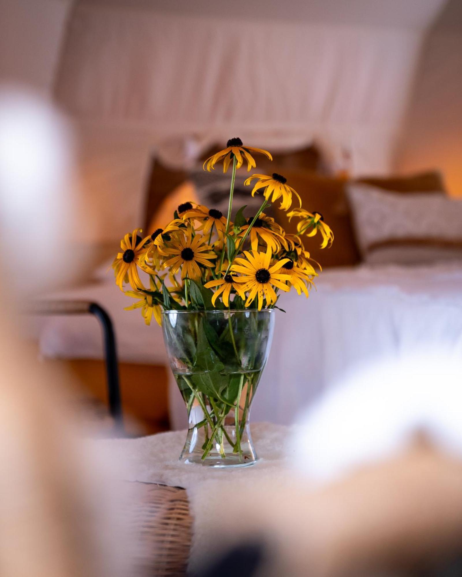 Glamping Gozdna Jasa Hotel Bovec Exterior photo