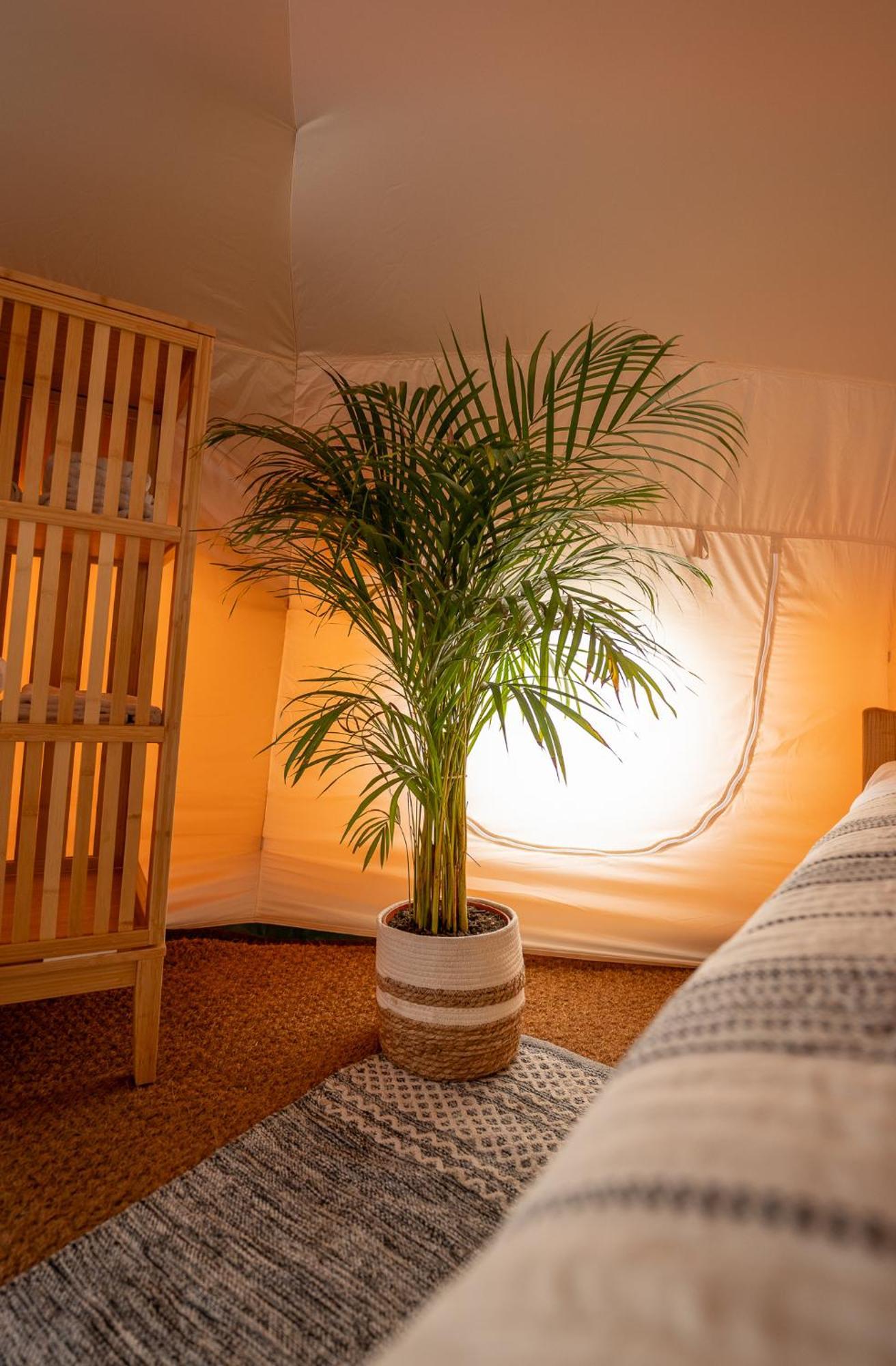 Glamping Gozdna Jasa Hotel Bovec Exterior photo