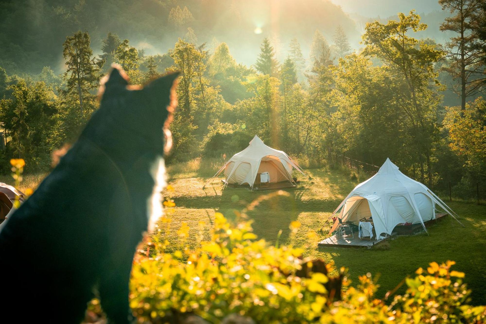 Glamping Gozdna Jasa Hotel Bovec Exterior photo